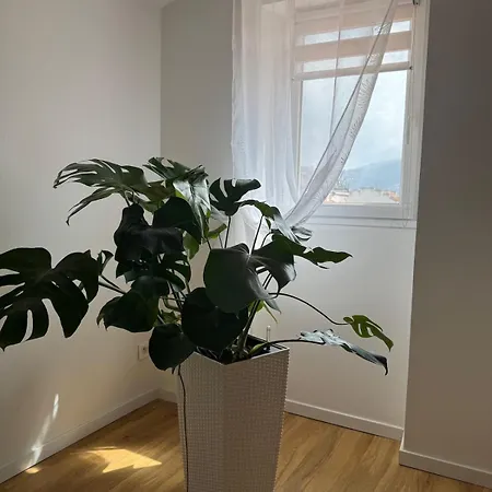 Renovated Luxury Cocoon Place Masséna Nizza